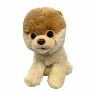 Gund Boo The Worlds Cutest Dog Plush 4029715 Pomeranian Puppy Stuffed Animal 10”
